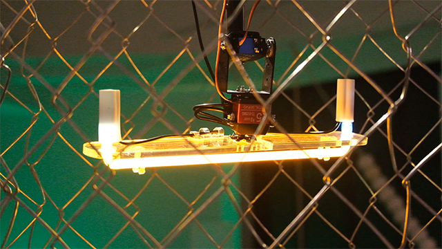 “Semi-being” Solo Exhibition, 2024