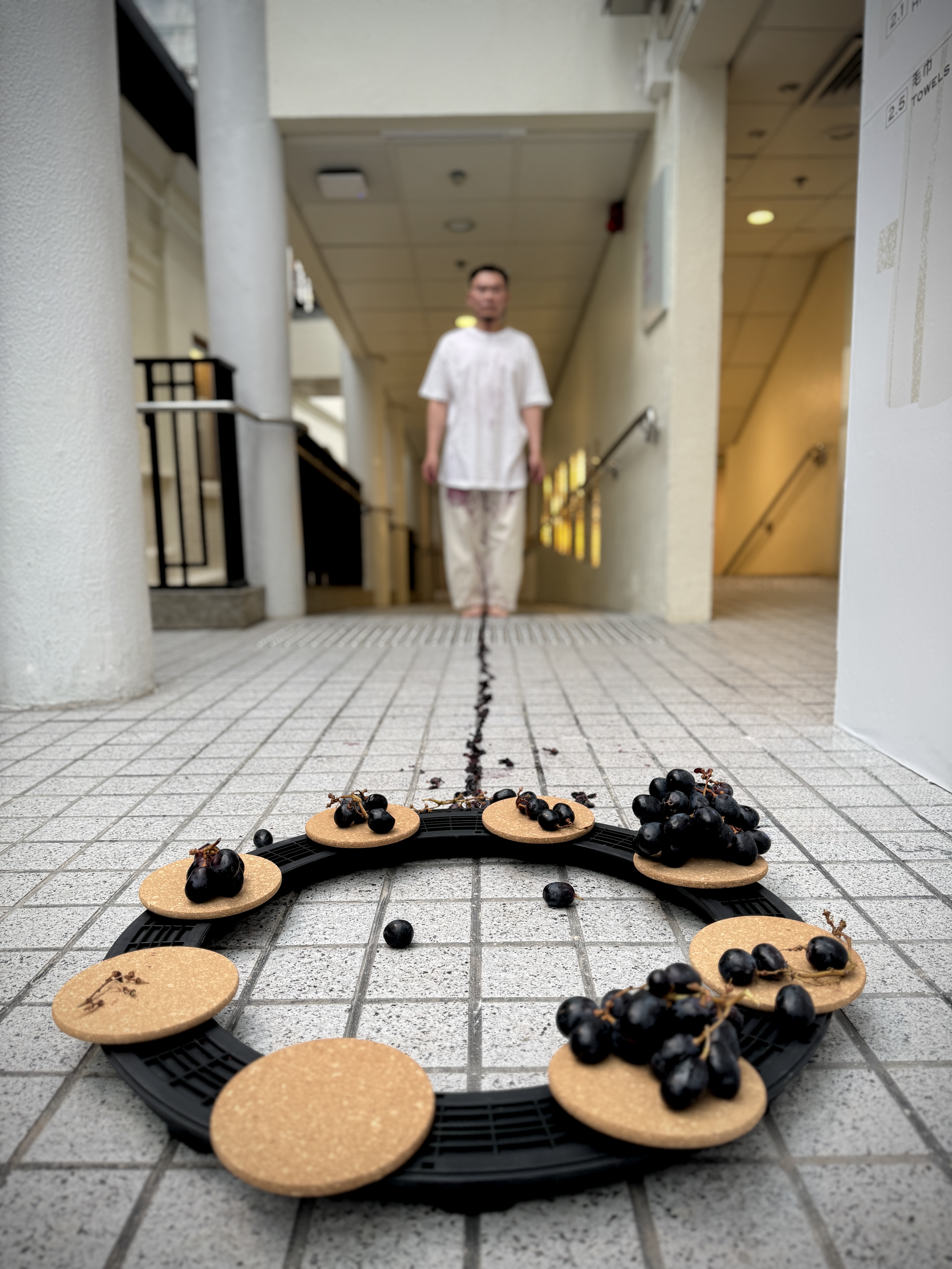 The Seedless Skin Contact – A Reversed Forward, 2025