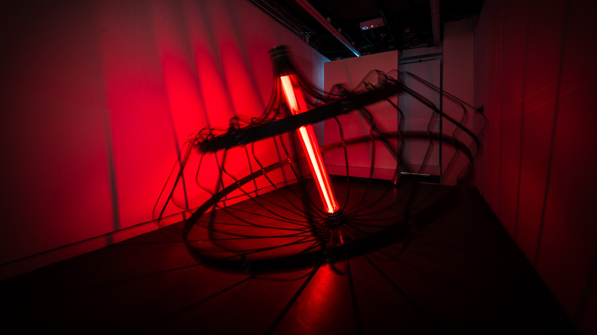 The Tipsy Borderline, 2025